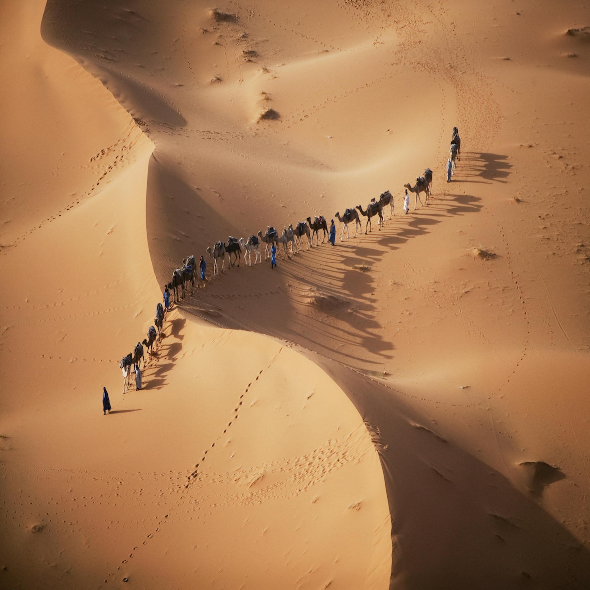 The setting sun over the desert makes a enchanting shadow as a caravan